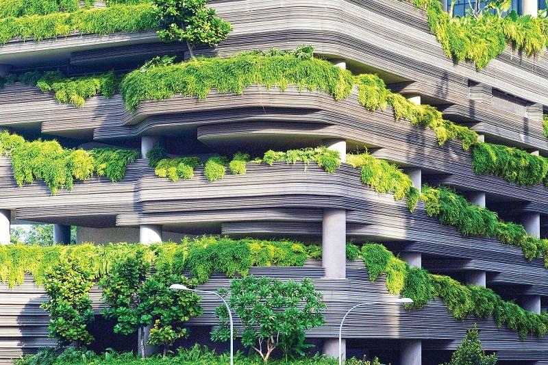 Arquiteto Paisagista